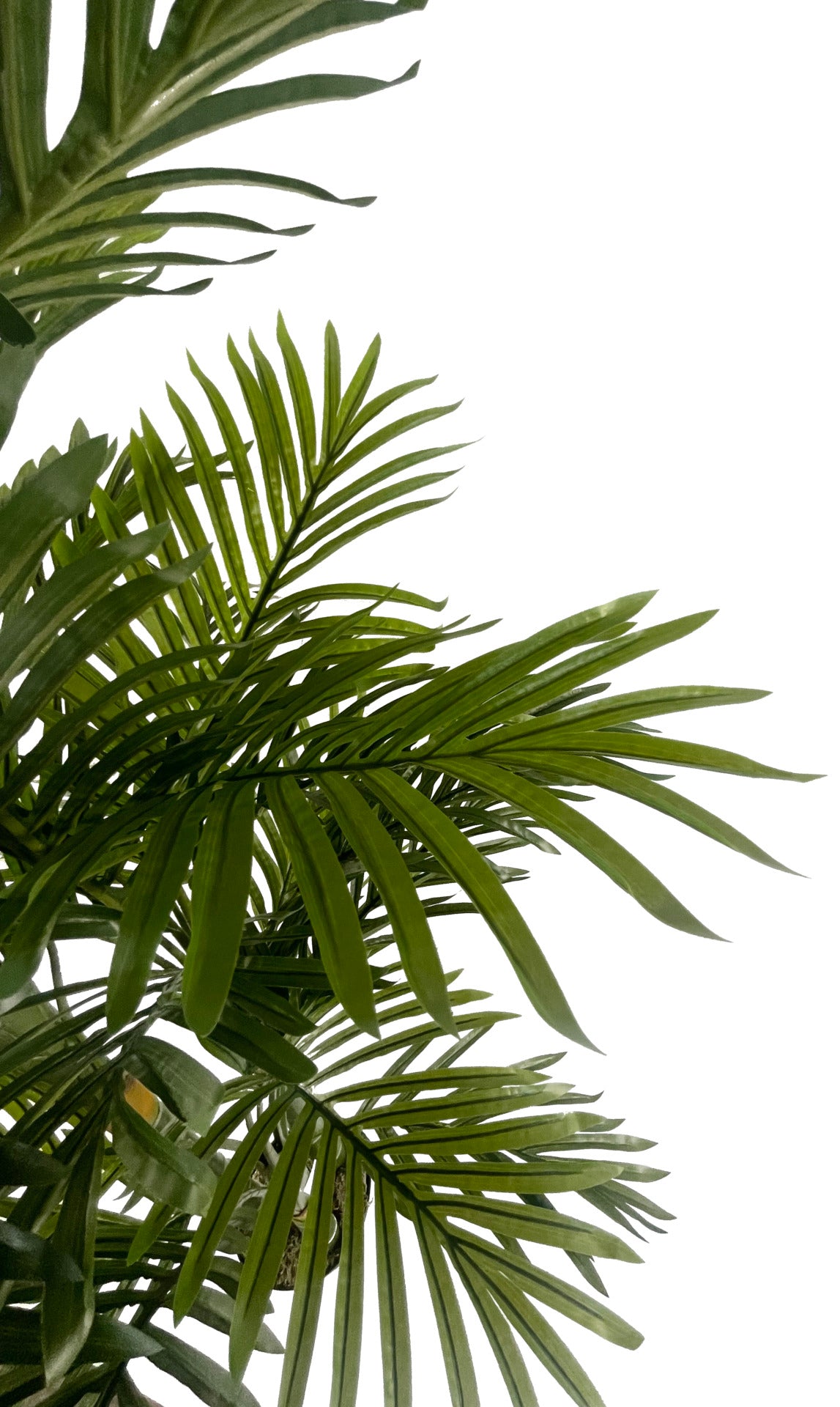 180cm Artificial Tropical Palm Tree – image 2