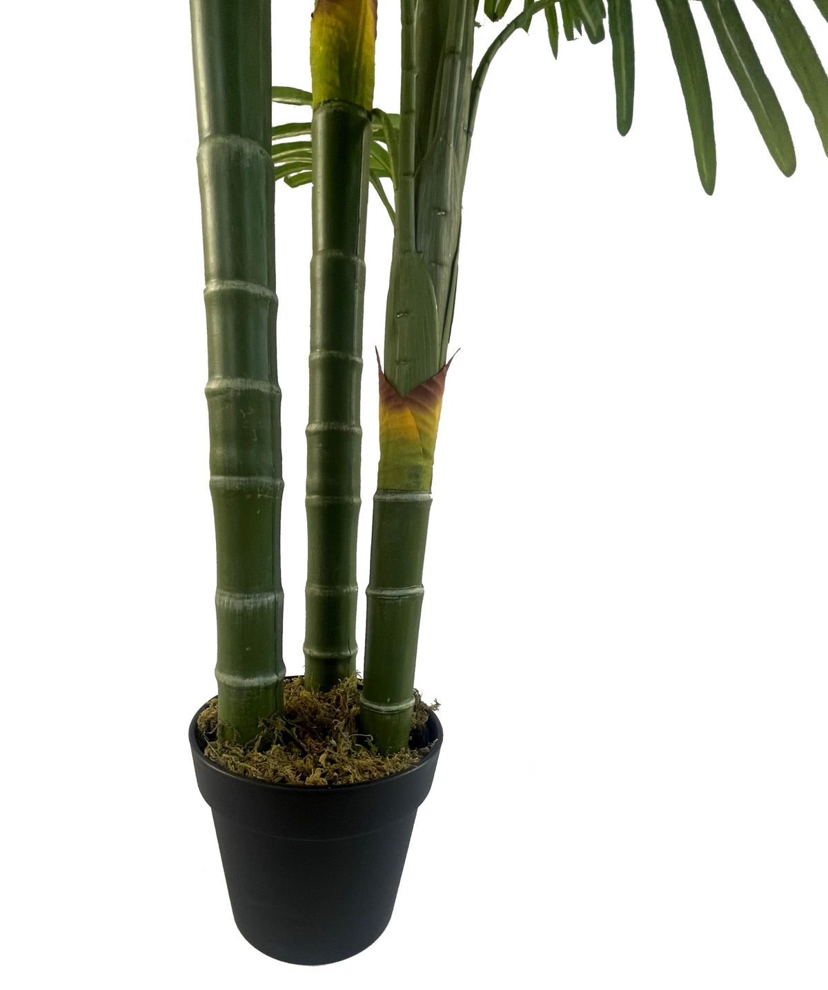 180cm Artificial Tropical Palm Tree – image 4