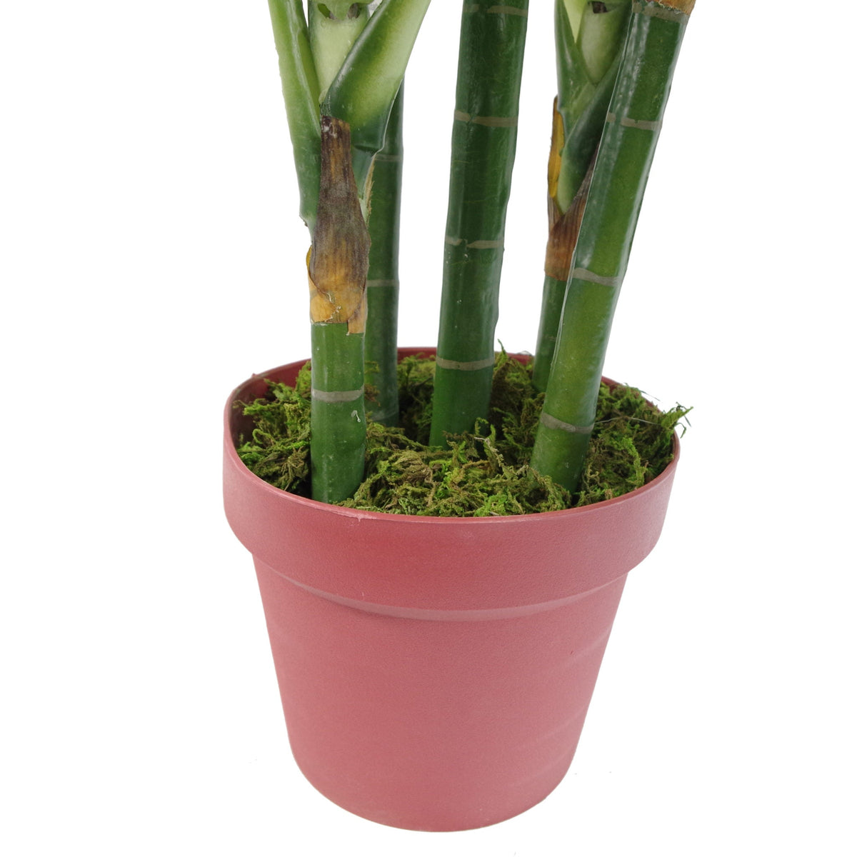 100cm Large Fox's Aglaonema (Spotted Evergreen) Tree Artificial Plant – image 12