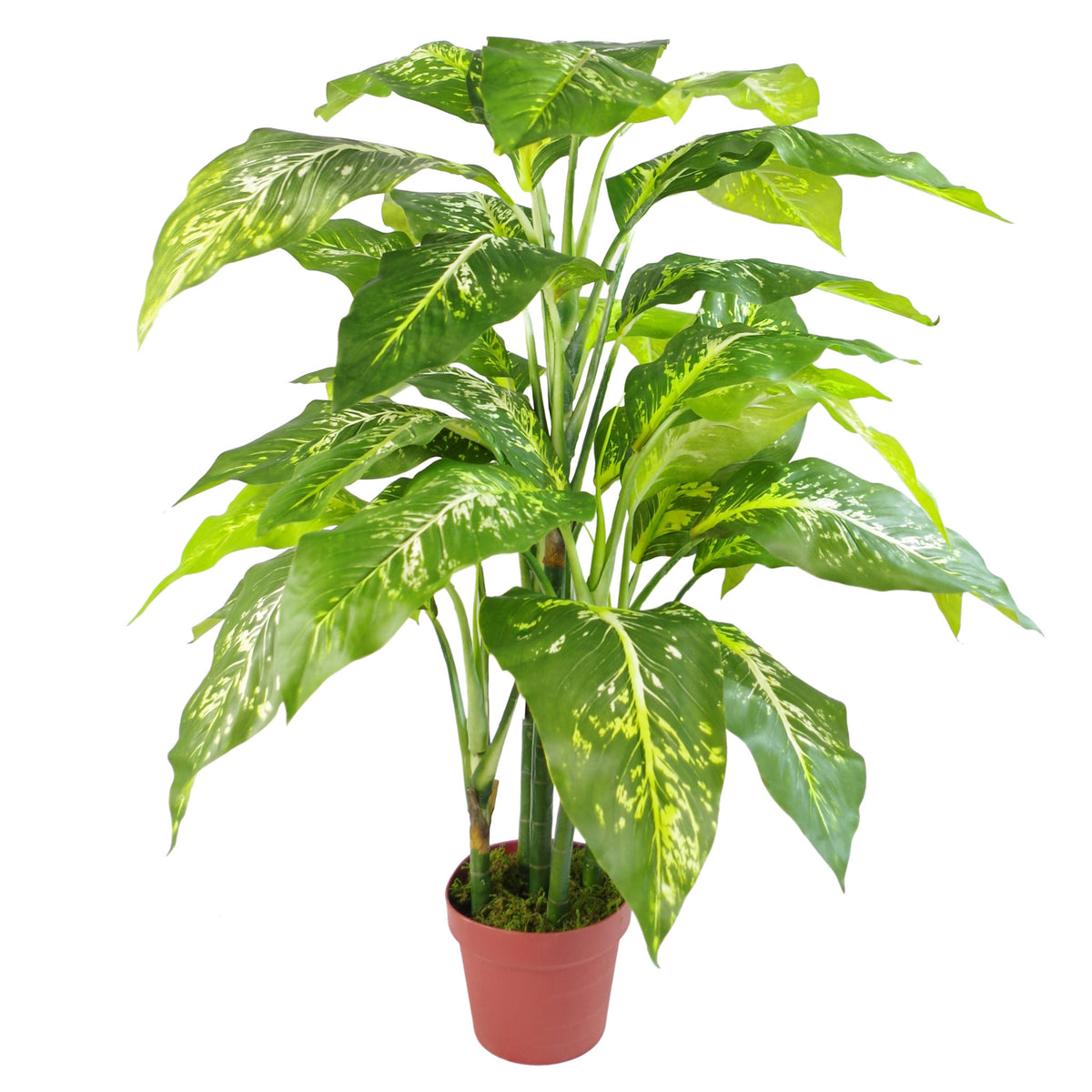 100cm Large Fox's Aglaonema (Spotted Evergreen) Tree Artificial Plant – image 10