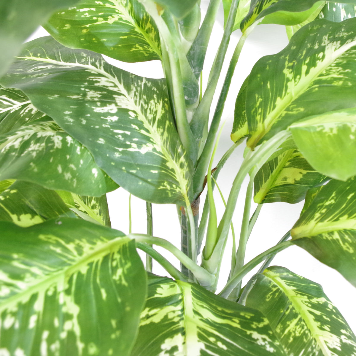 100cm Large Fox's Aglaonema (Spotted Evergreen) Tree Artificial Plant – image 11