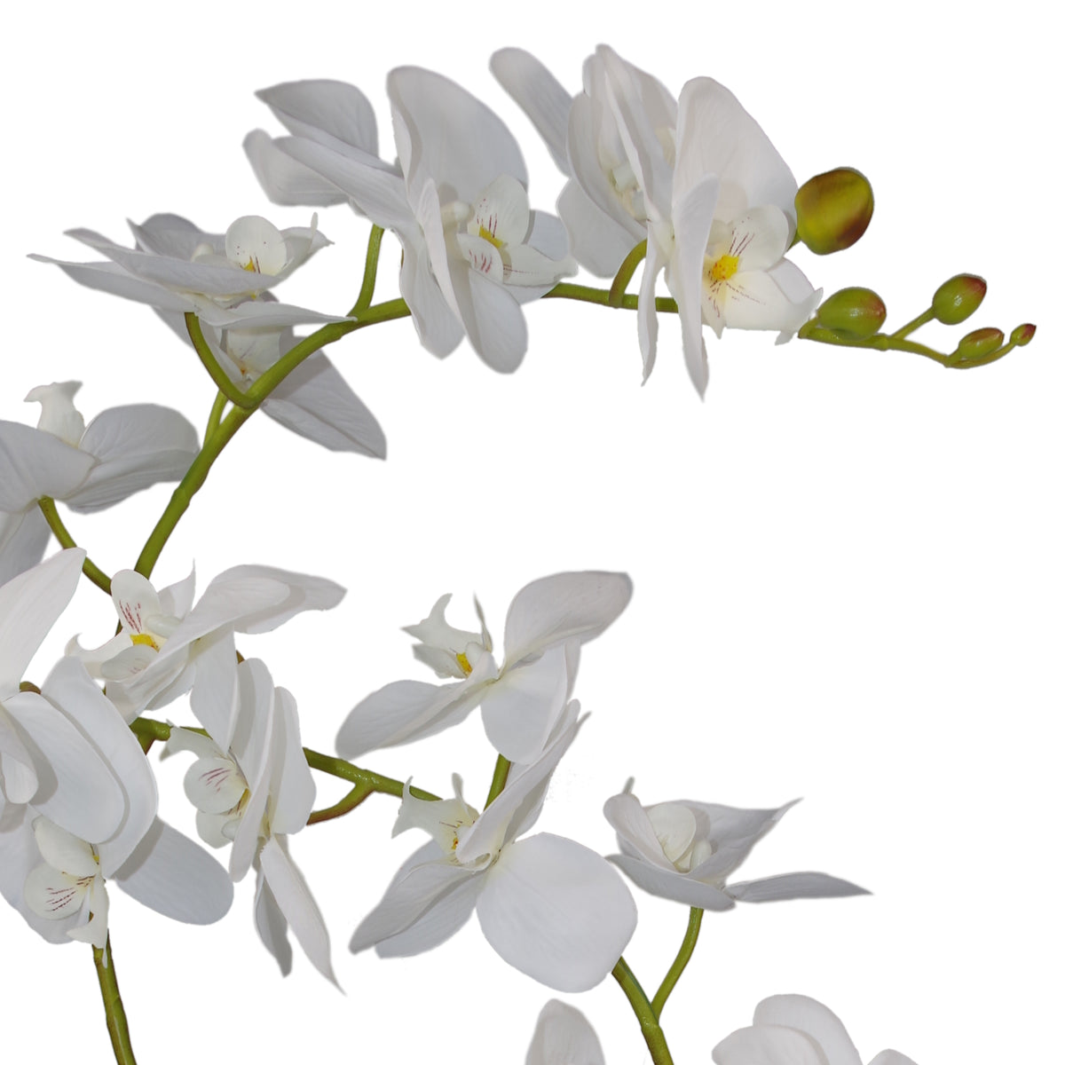 65cm Artificial Luxury Orchid - 3 Stems - Soft White Plant – image 3