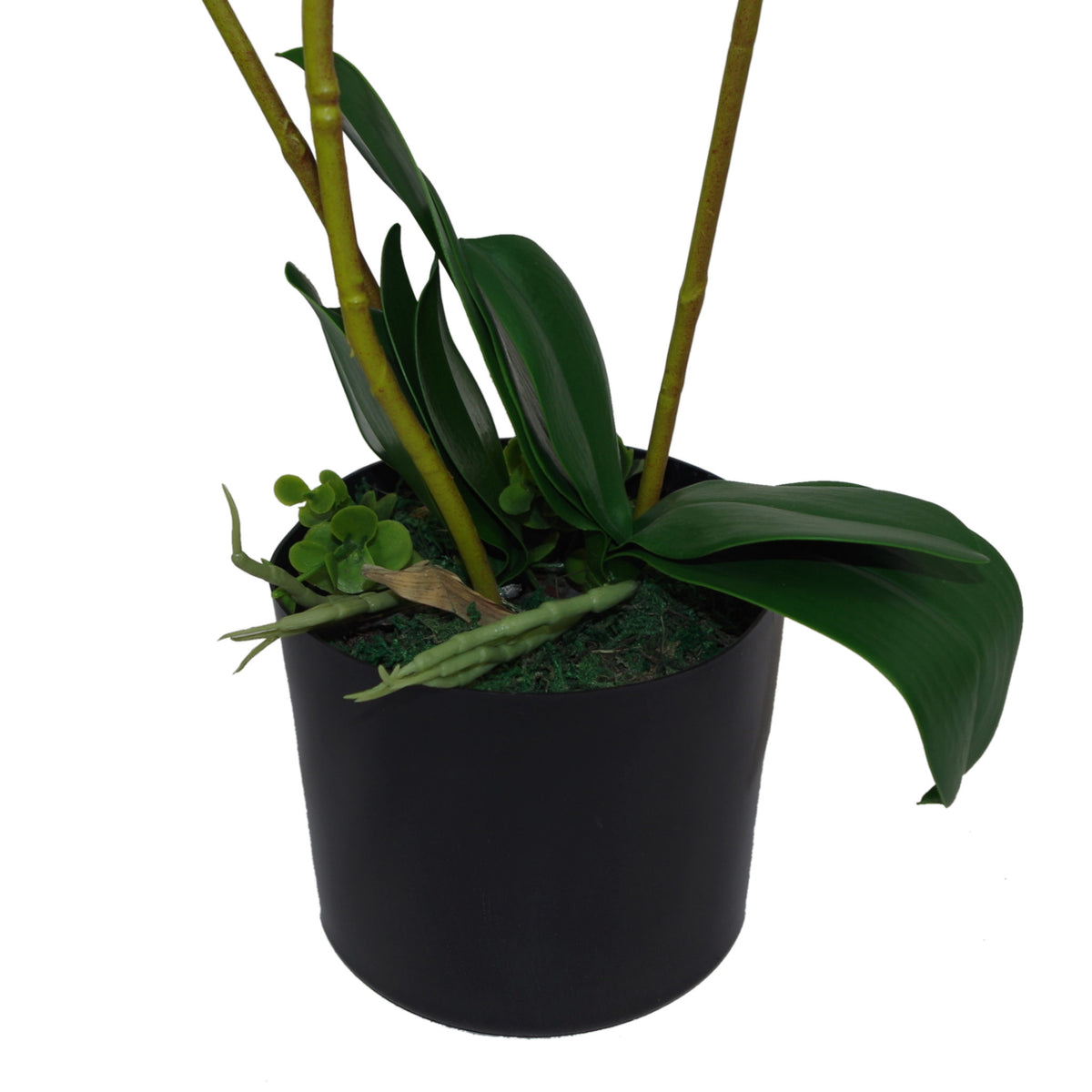65cm Artificial Luxury Orchid - 3 Stems - Soft White Plant – image 2