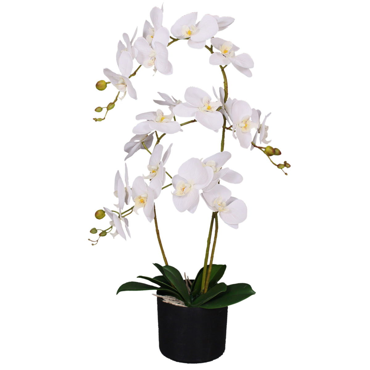 65cm Artificial Luxury Orchid - 3 Stems - Soft White Plant