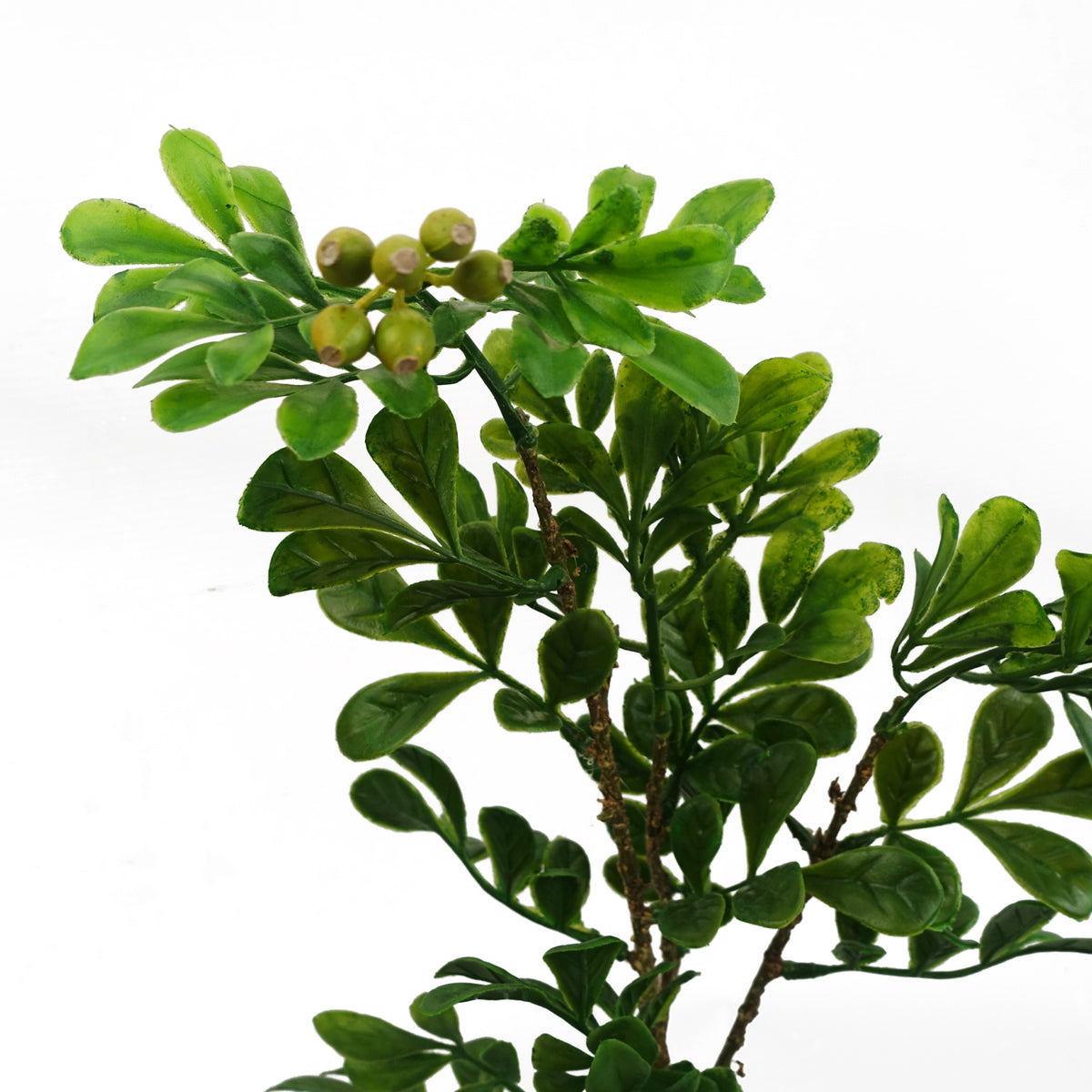 45cm Artificial Aglaia Odorata Bonsai Ficus Tree – image 4