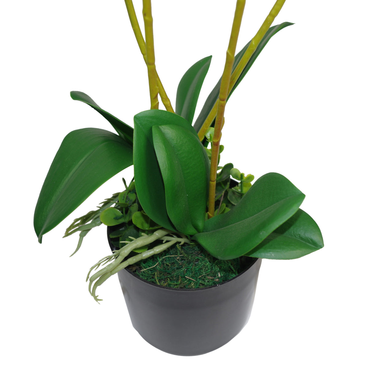 60cm Artificial Luxury Orchid - Triple Stem - Pink Realistic Plant – image 3