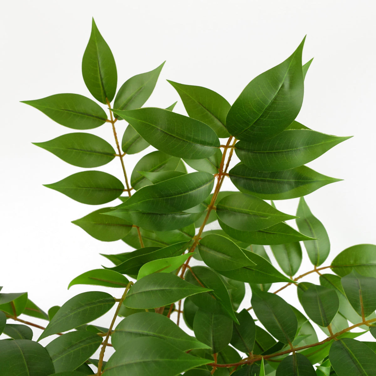 110cm Artificial Toona Sinensis Tree Evergreen – image 4