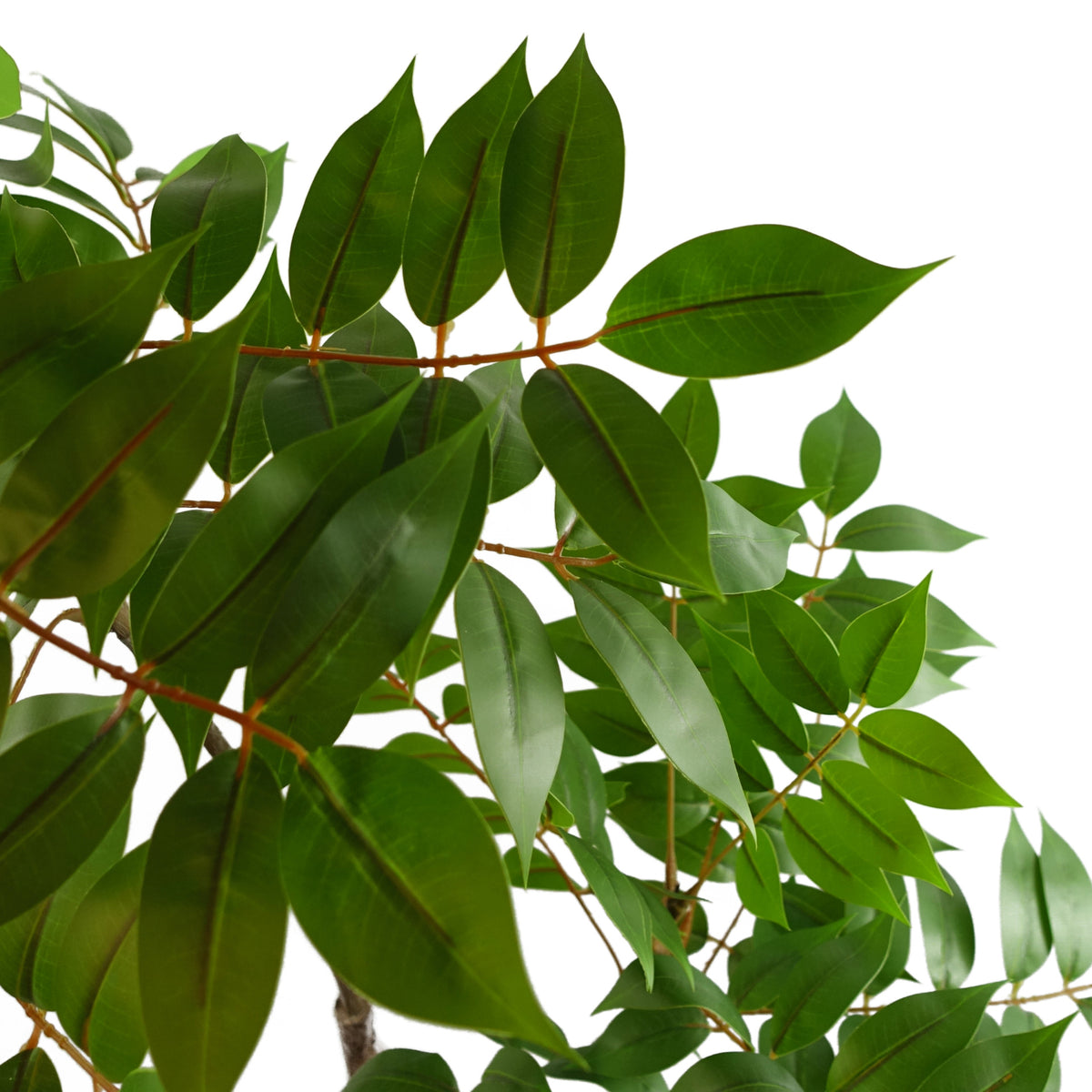 110cm Artificial Toona Sinensis Tree Evergreen – image 3
