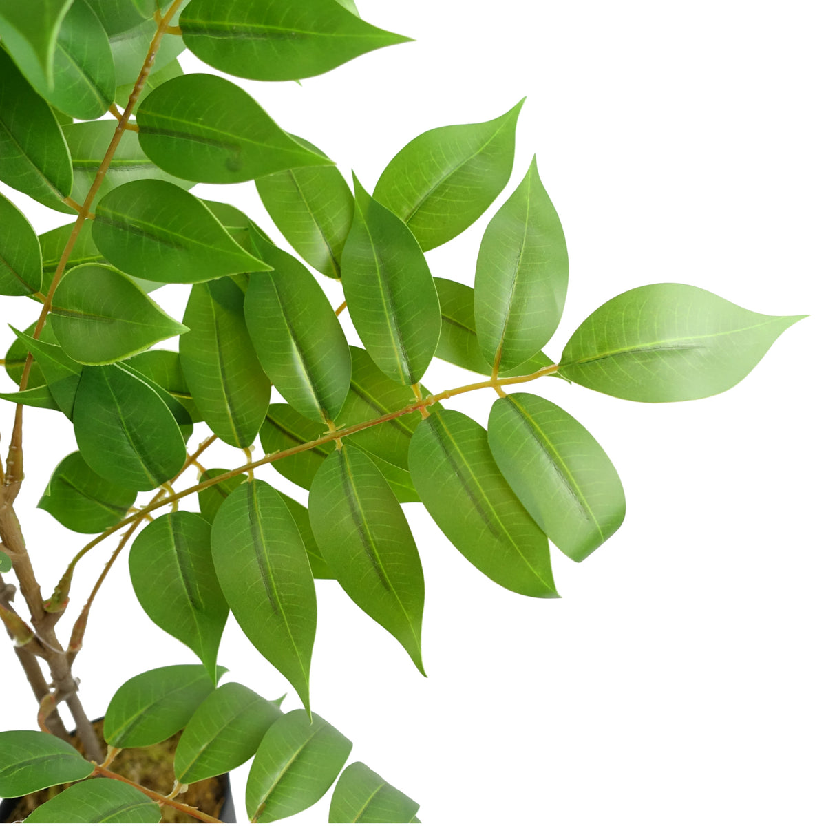 110cm Artificial Toona Sinensis Tree Evergreen – image 5