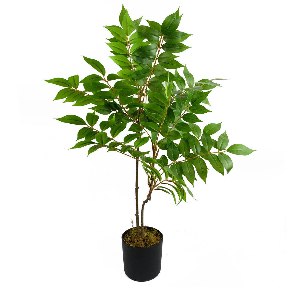65cm Artificial Toona Sinensis Plant Evergreen – image 2