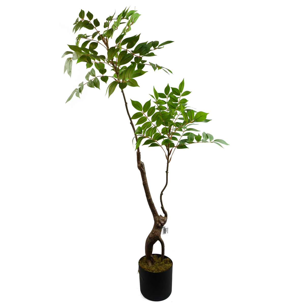 110cm Artificial Toona Sinensis Tree Evergreen – image 2