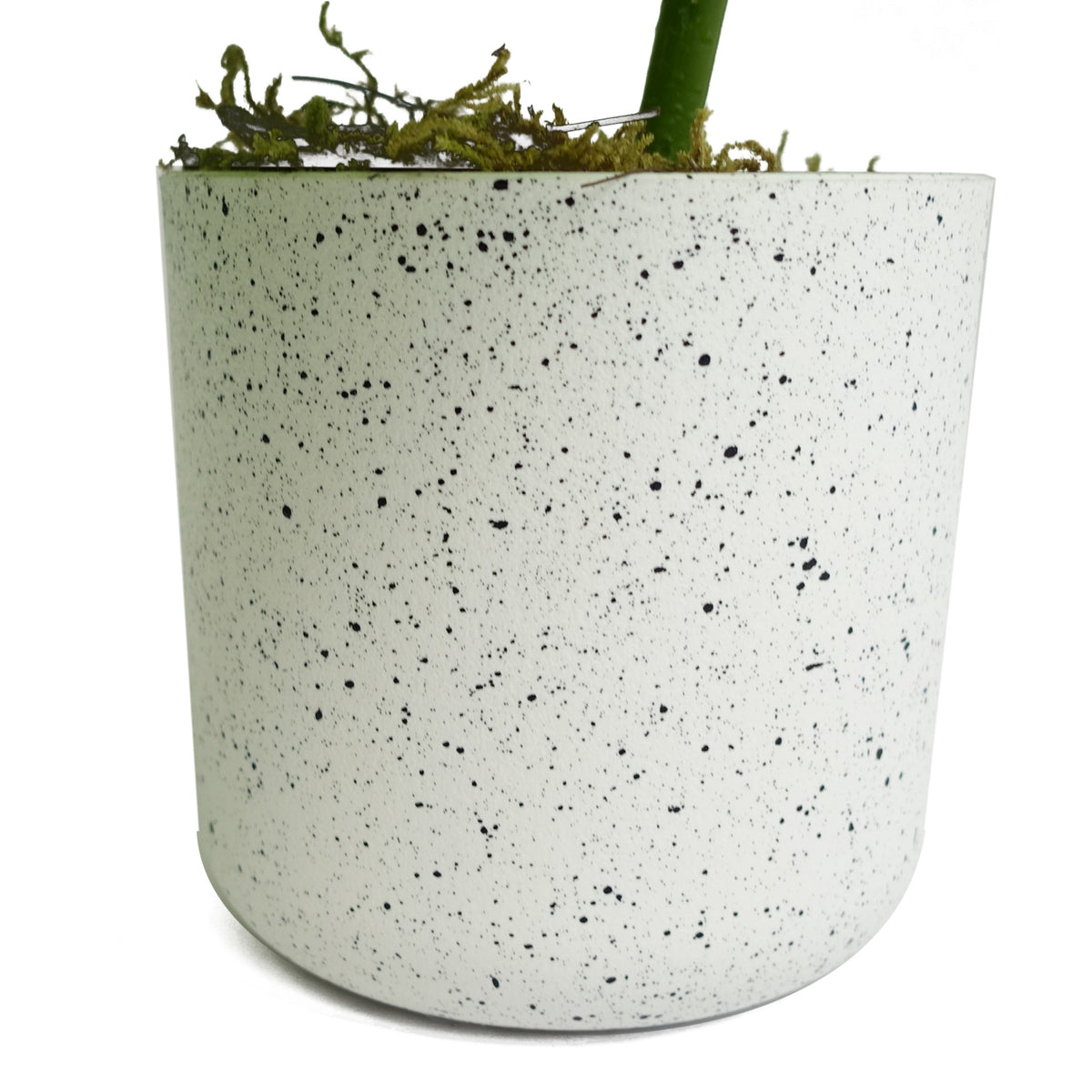 30cm Artificial Green Potted Monstera Trailing Plant – image 3