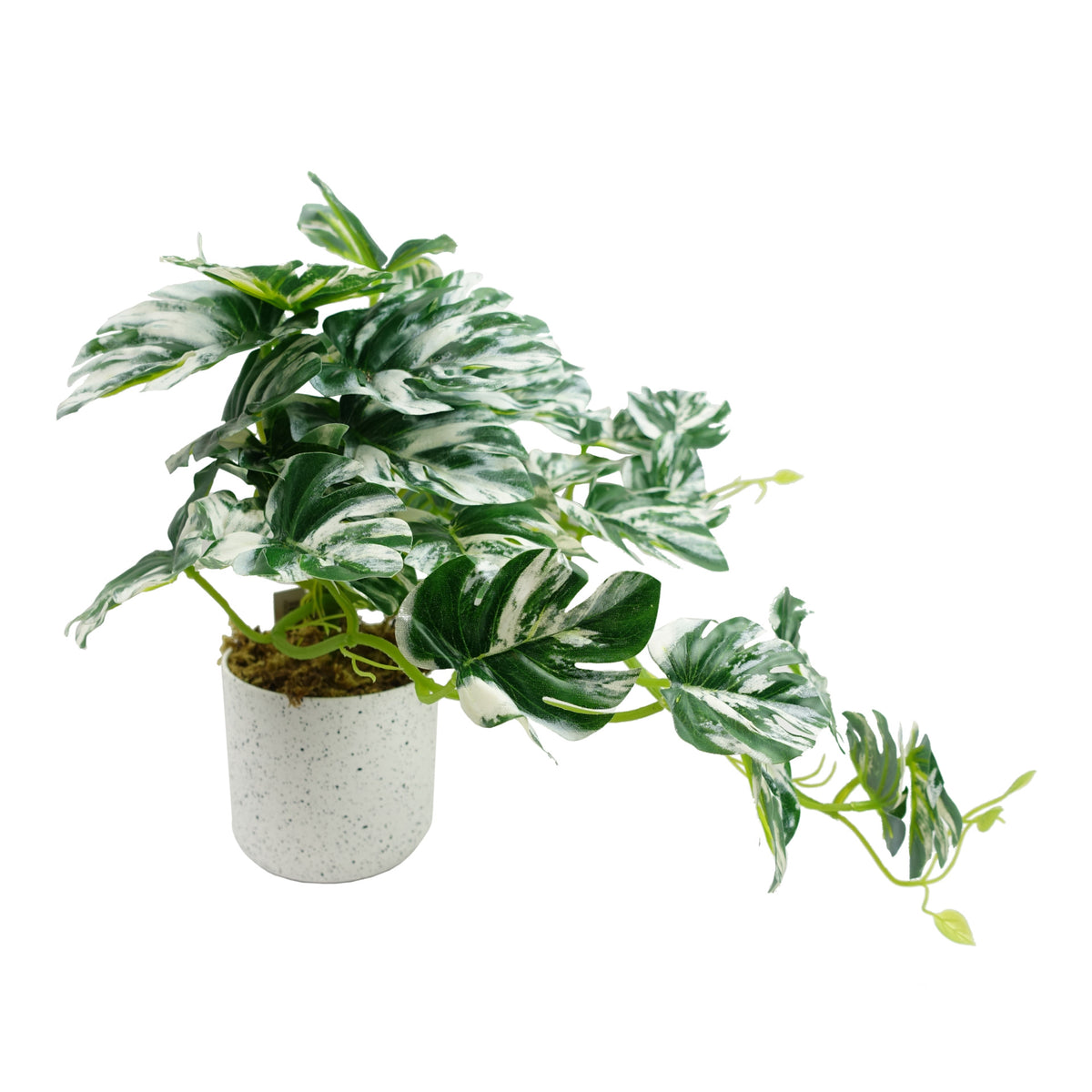 30cm Artificial Variegated Green Potted Monstera Trailing Plant – image 3