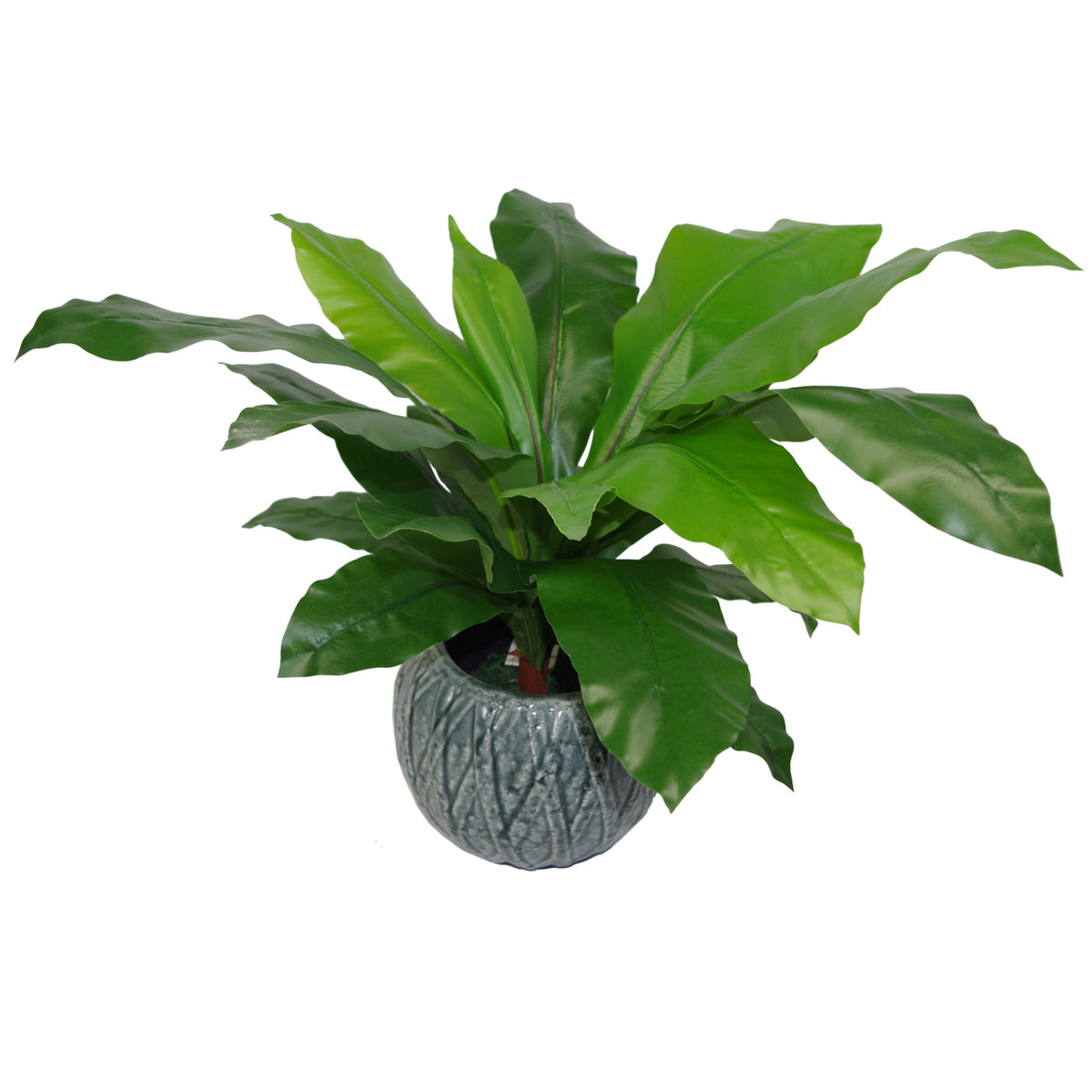 60cm Bushy Large Artificial Bird's Nest Fern Plant – image 3