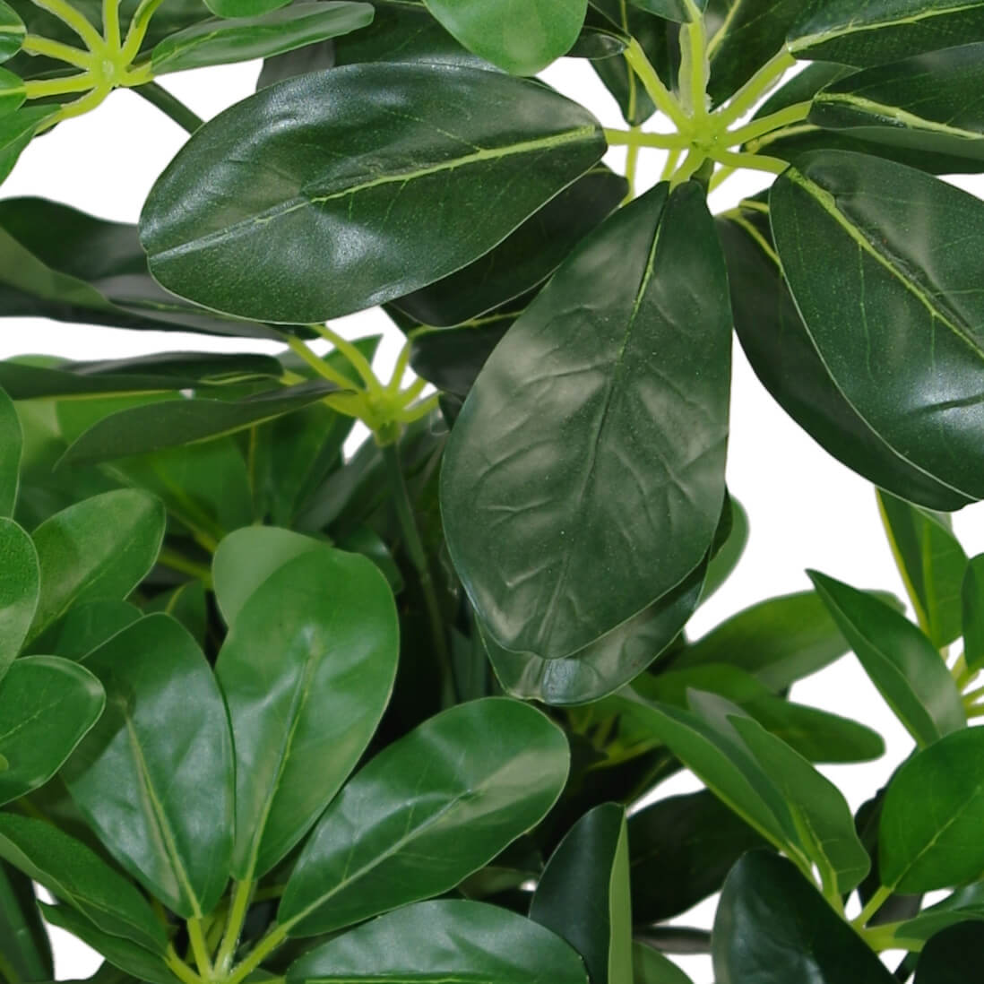 55cm Green Artificial Schefflera Arboricola Bush – image 5
