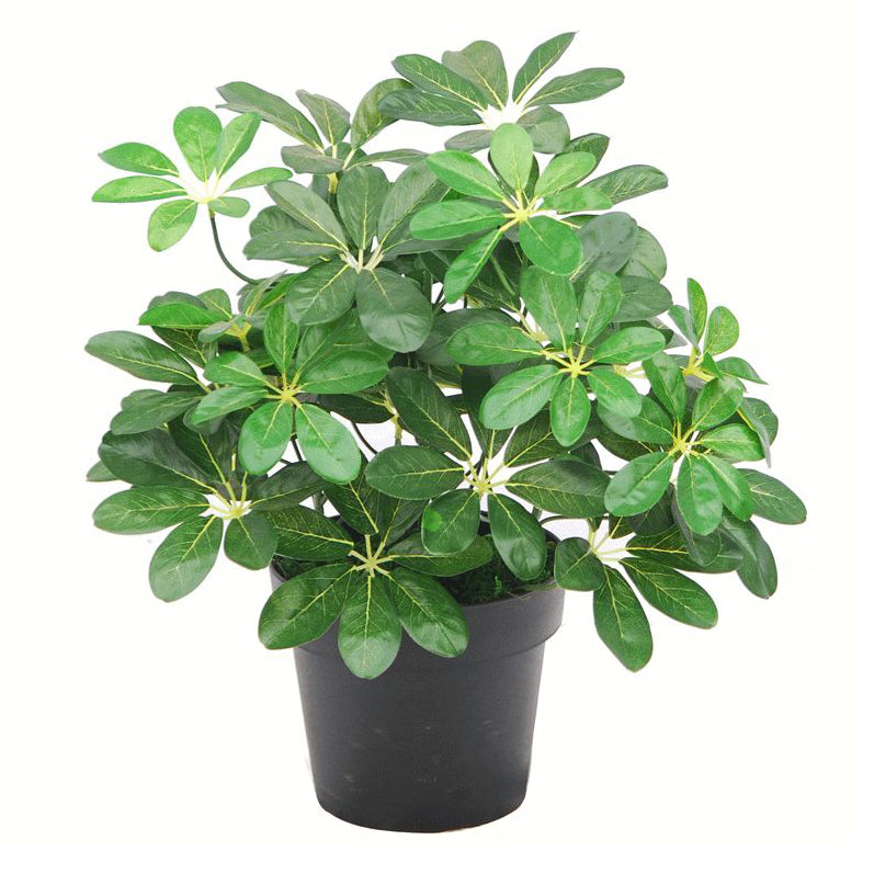 55cm Green Artificial Schefflera Arboricola Plant