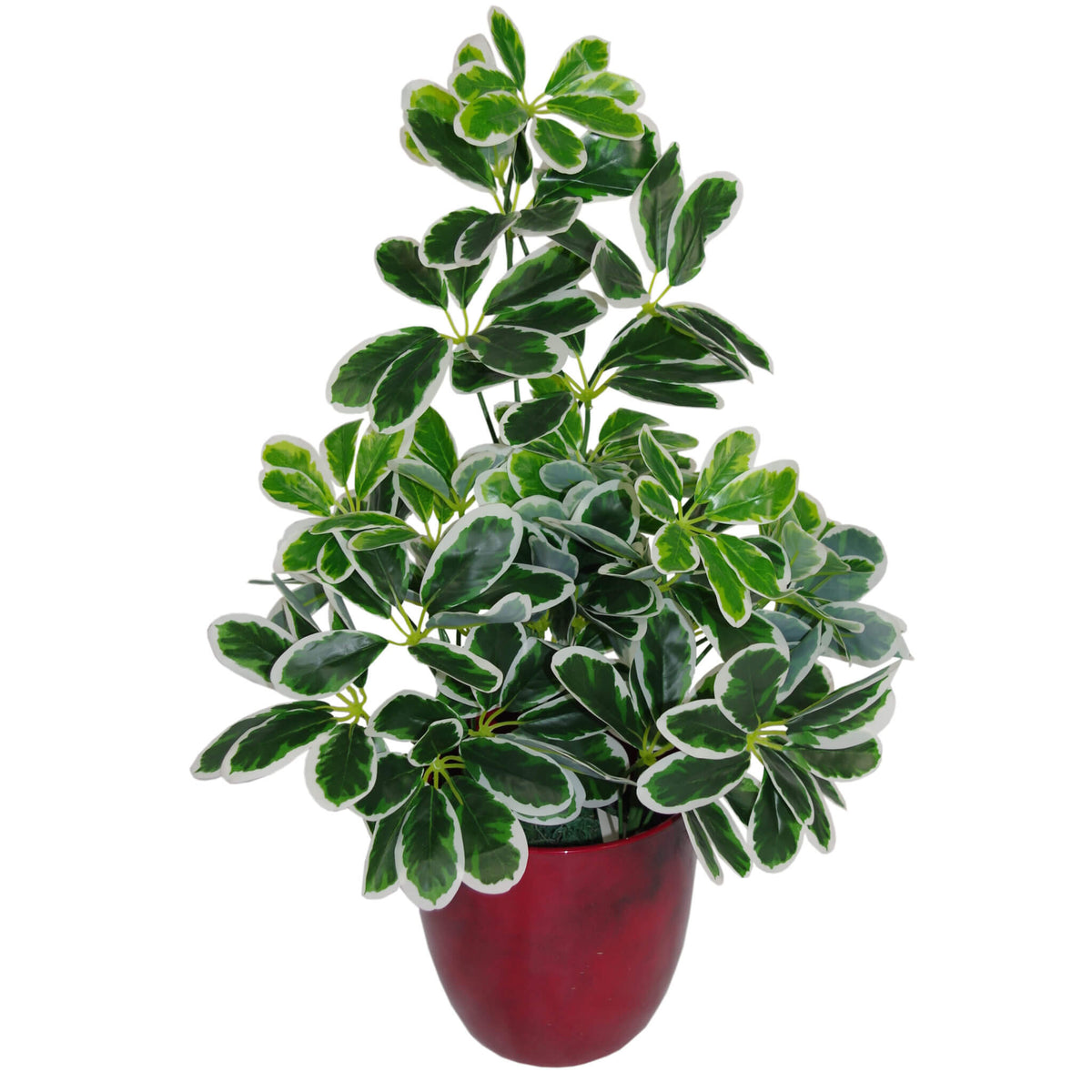 55cm Green Artificial Schefflera Arboricola Plant – image 8