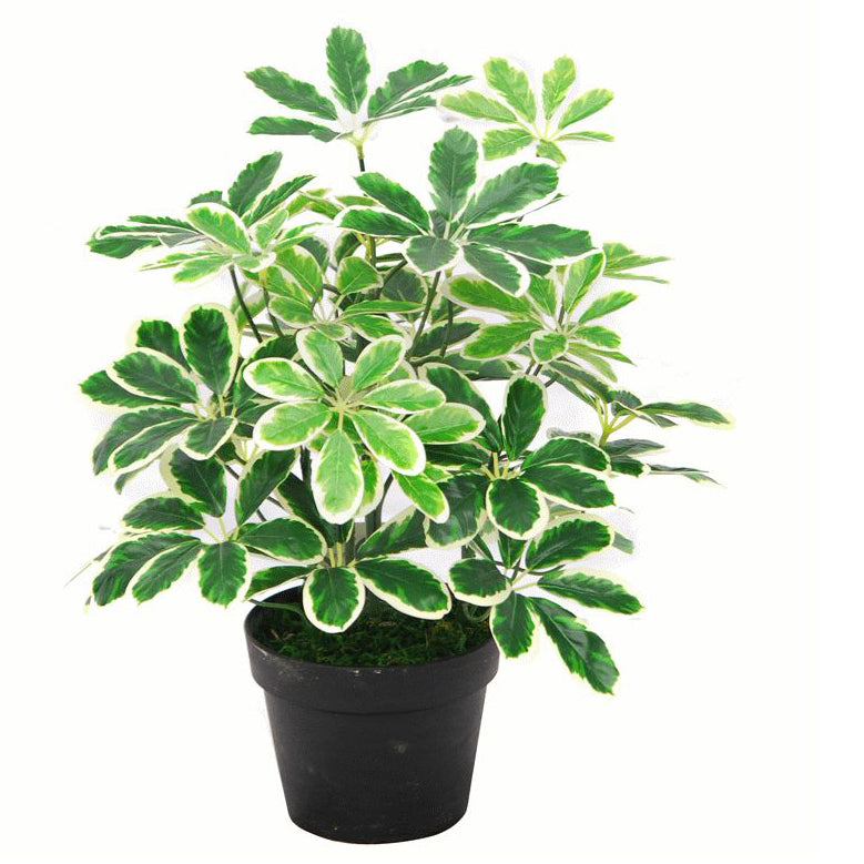 55cm Green Artificial Schefflera Arboricola Plant – image 3