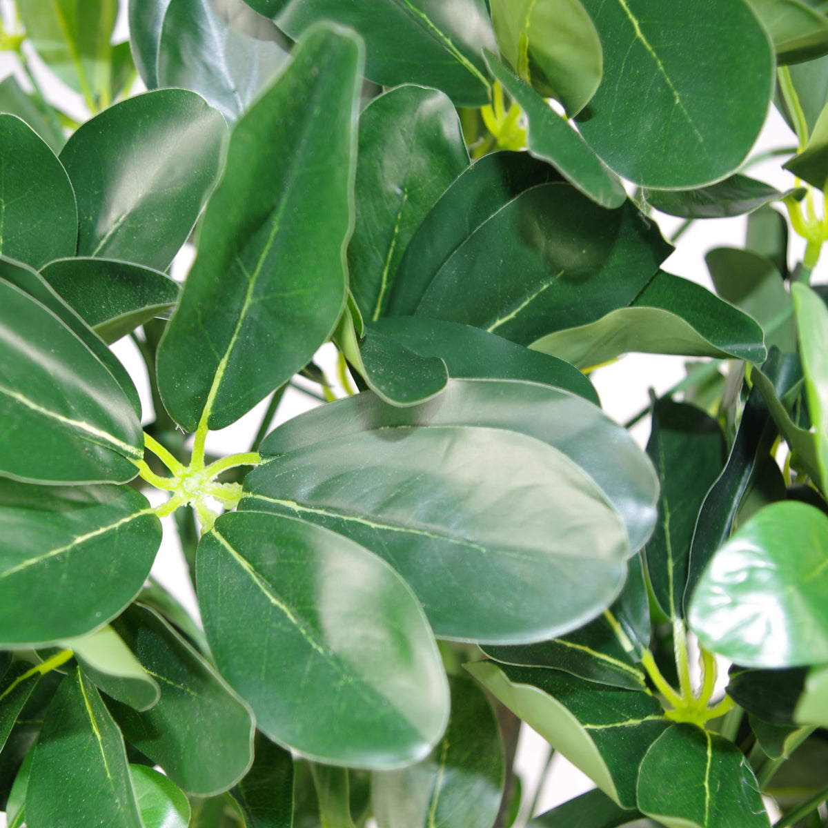 95cm Umbrella Tree Dark Green Artificial Ficus Plant – image 4