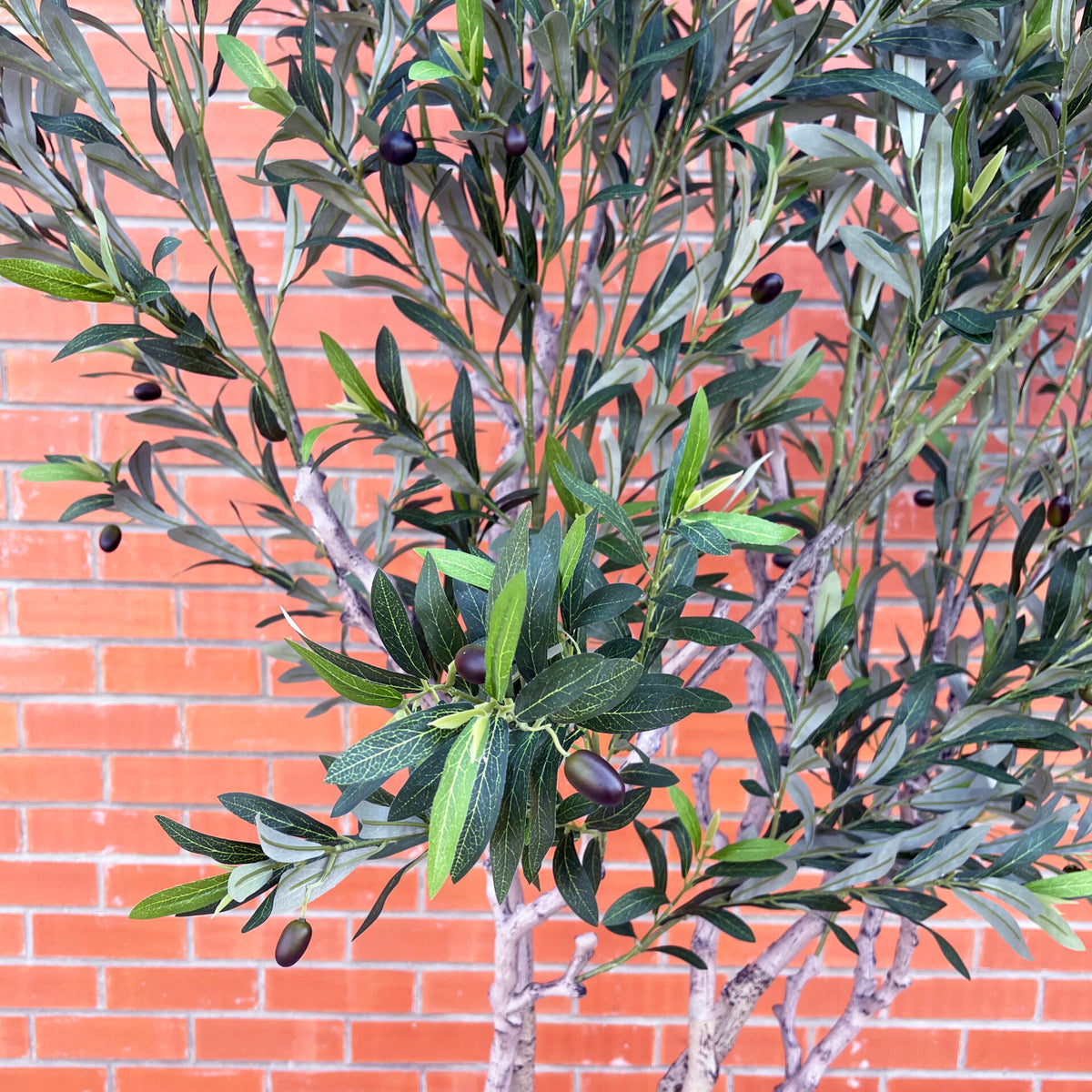 XXL Artificial Olive Tree 2.5m (250cm) Width: 160 cm With decorative planter – image 6