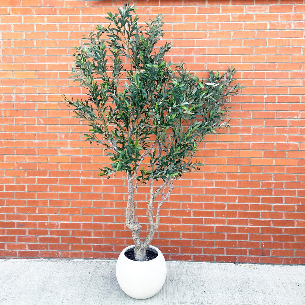 XXL Artificial Olive Tree 2.5m (250cm) Width: 160 cm With decorative planter – image 7