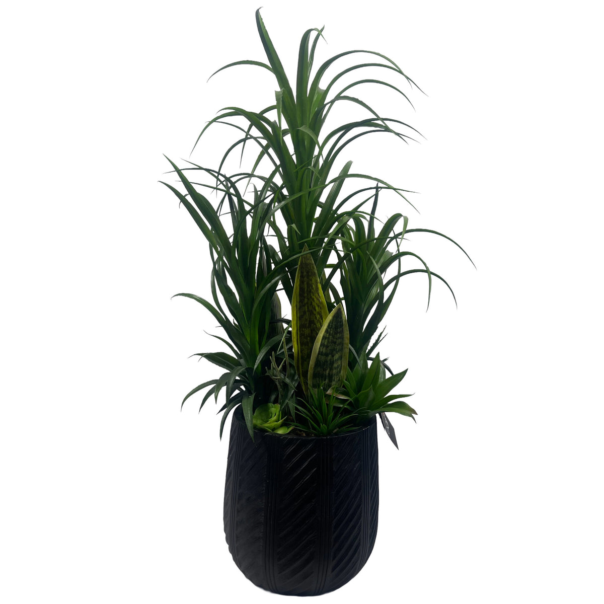 100cm Artificial Yucca Display in Pot – image 2
