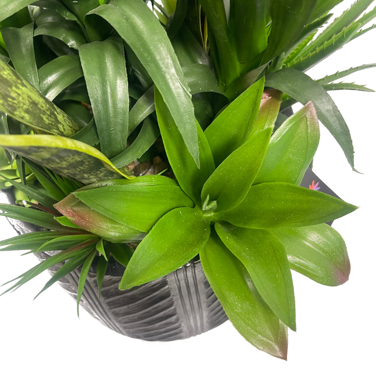 100cm Artificial Yucca Display in Pot – image 7