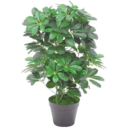 55cm Green Artificial Schefflera Arboricola Bush