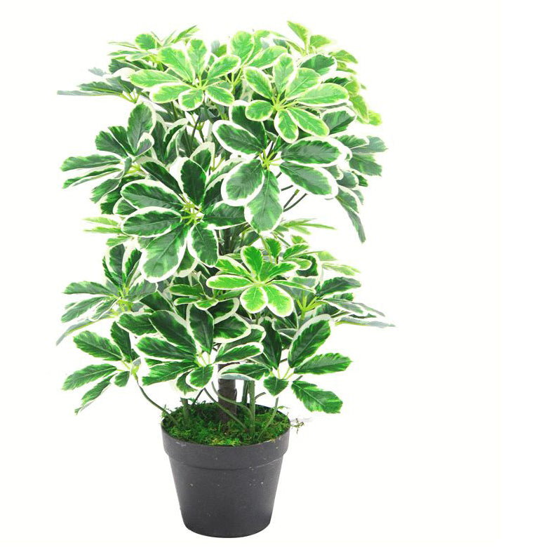 55cm Green Artificial Schefflera Arboricola Bush – image 2