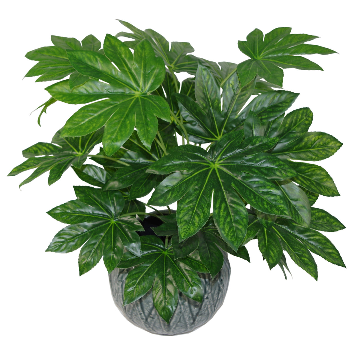 60cm Artificial Japanese Aralia Plant Evergreen – image 3
