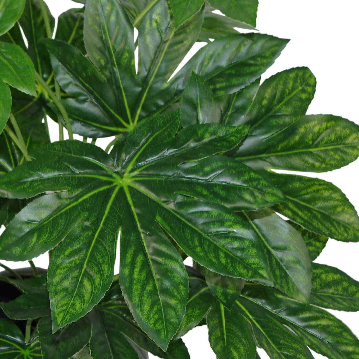 60cm Artificial Japanese Aralia Plant Evergreen – image 5