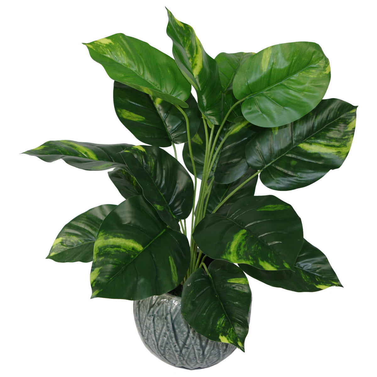 60cm Artificial Devil's Ivy (Scindapsus Aureus) Plant – image 9