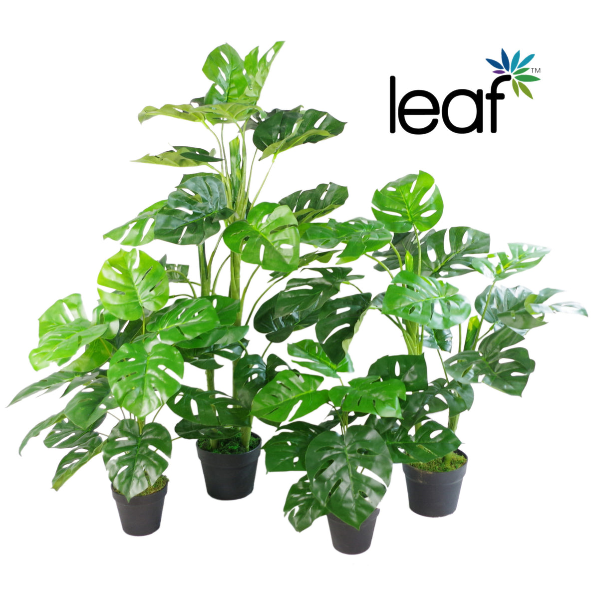 Artificial Monstera Plant - 100cm Monstera – image 3