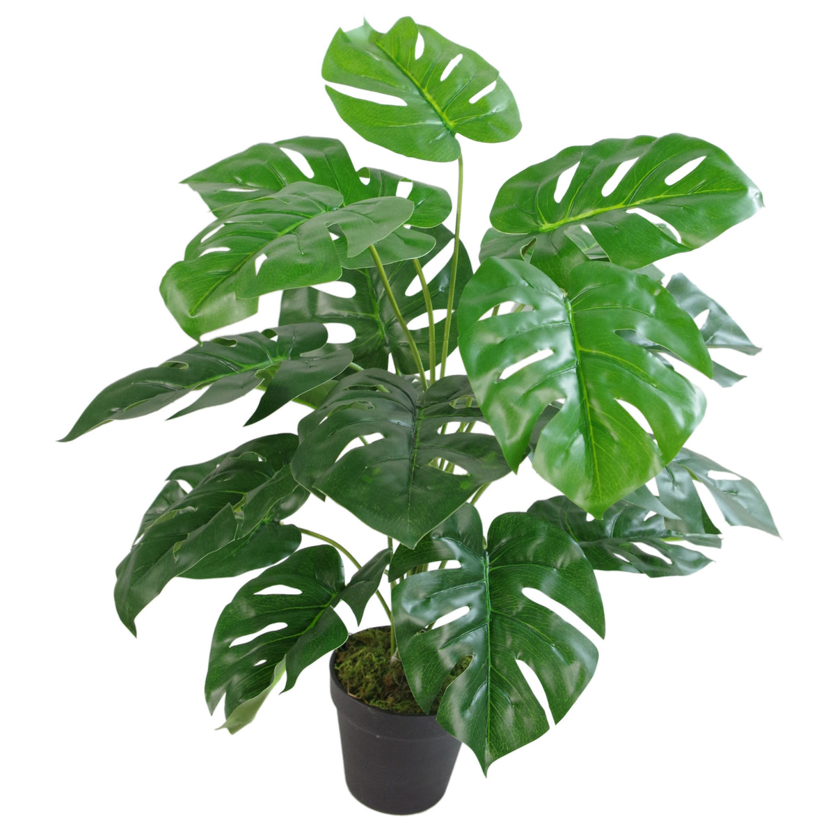 Artificial Monstera Plant - 60cm Monstera – image 2