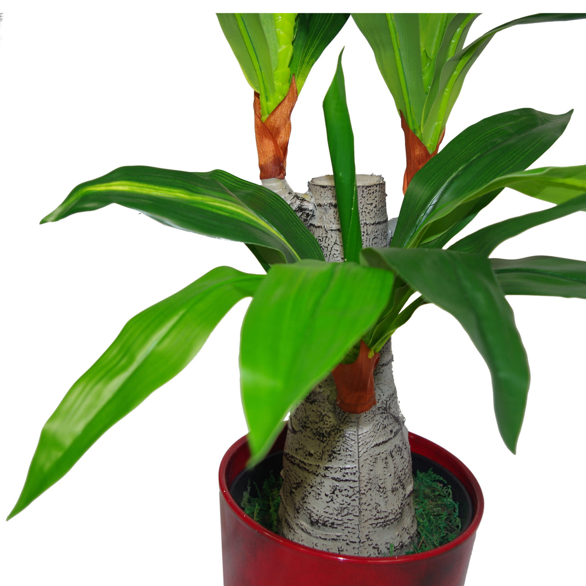 75cm Artificial Dracaena Plant - Wide Trunk Triple Branch Large – image 3