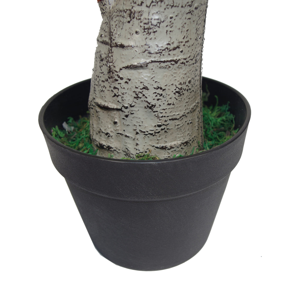 75cm Artificial Dracaena Plant - Wide Trunk Triple Branch Large – image 4