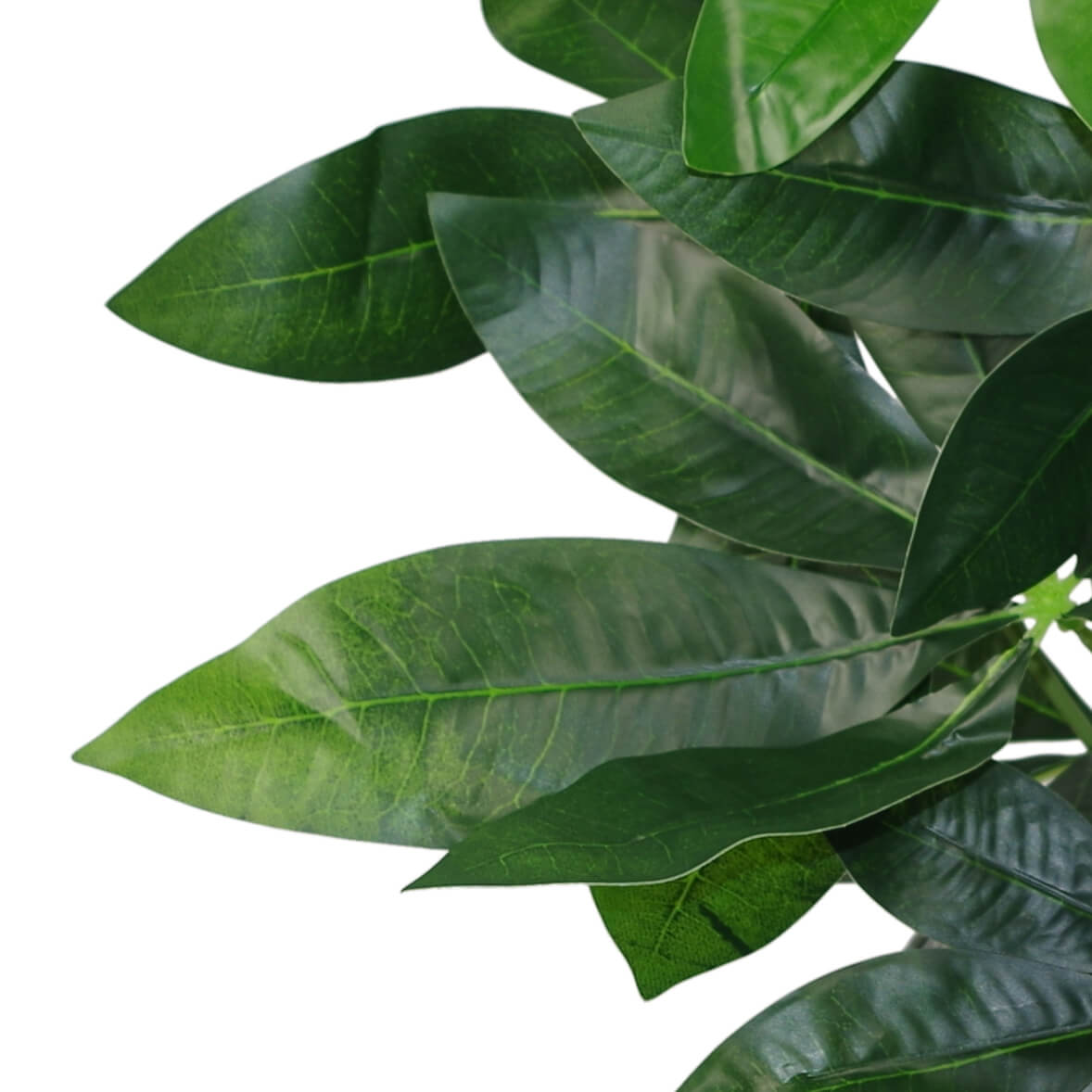 50cm Artificial Money Tree Plant – image 5