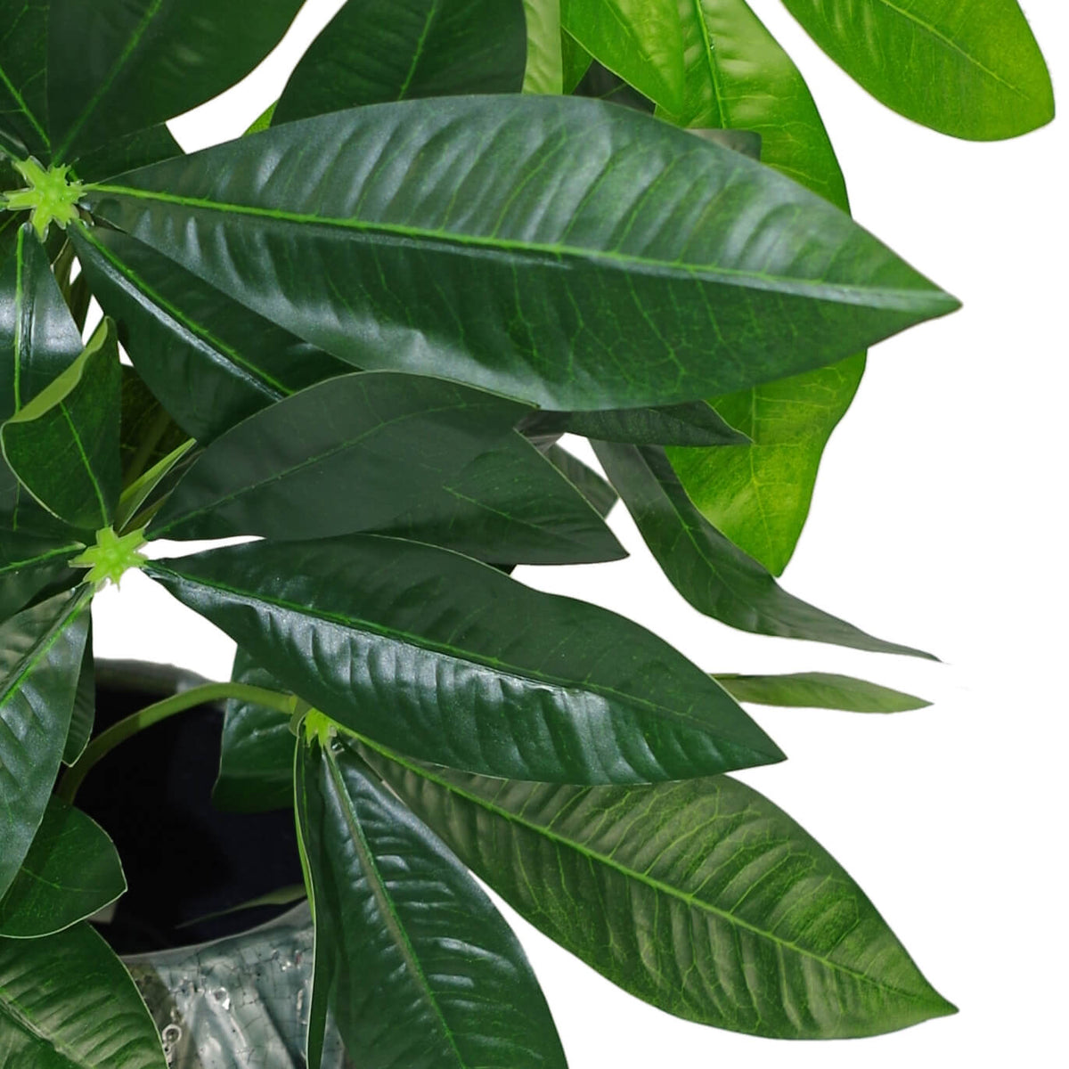 50cm Artificial Money Tree Plant – image 4