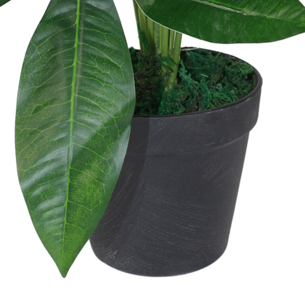 50cm Artificial Money Tree Plant – image 3