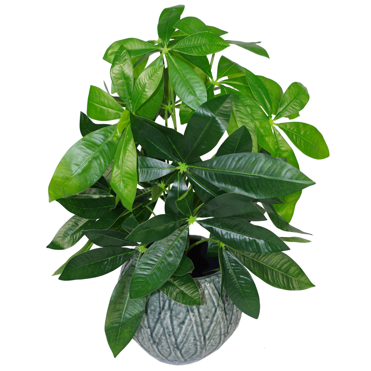 50cm Artificial Money Tree Plant – image 2
