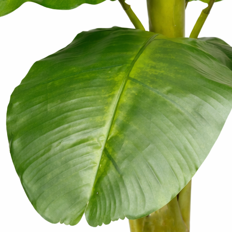 240cm Artificial Large Banana Tree – image 4