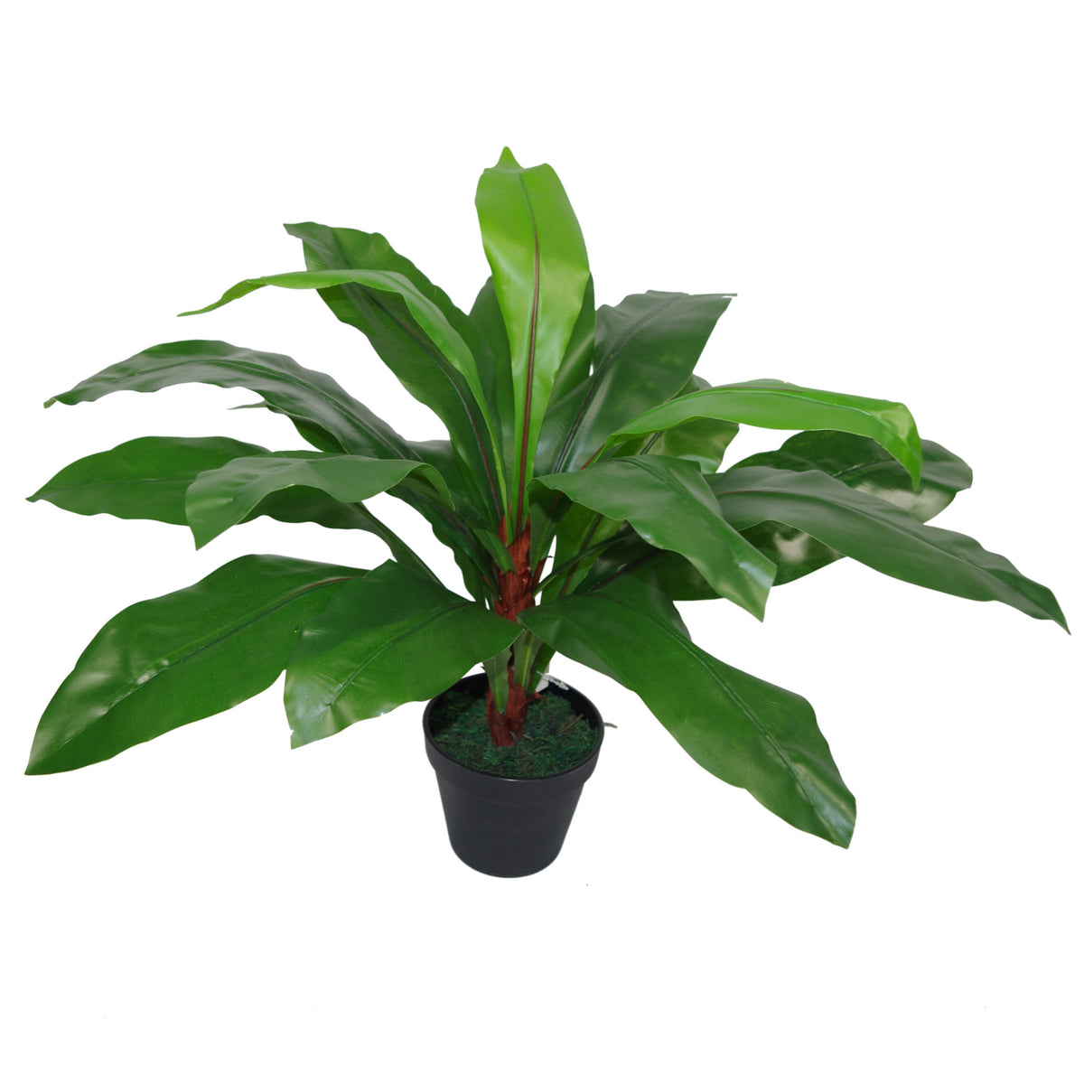 60cm Bushy Large Artificial Bird's Nest Fern Plant – image 2