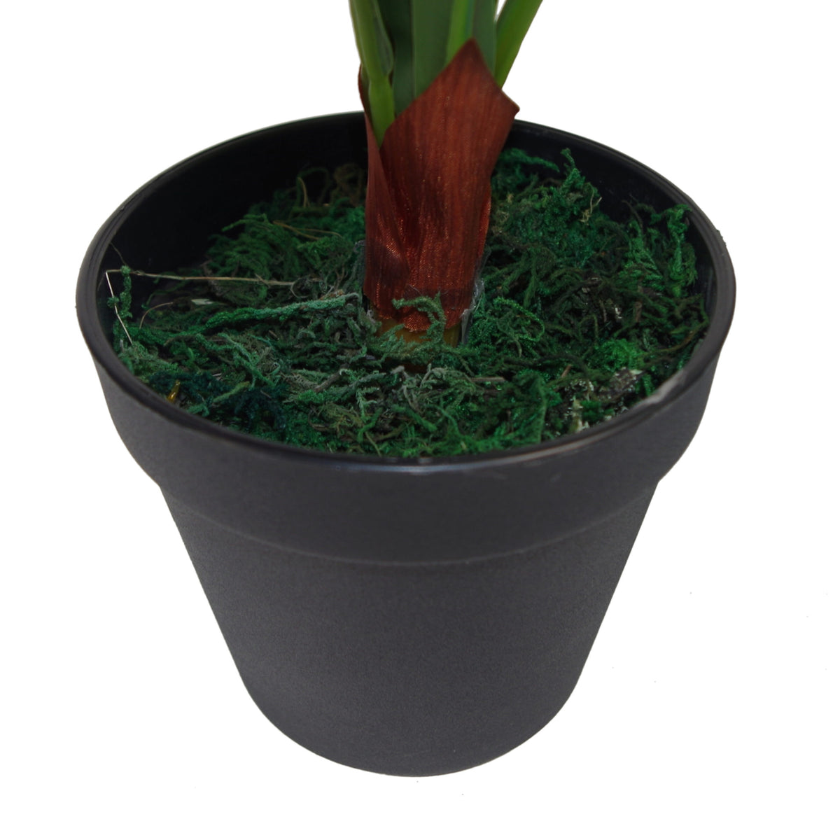 60cm Bushy Large Artificial Bird's Nest Fern Plant – image 4