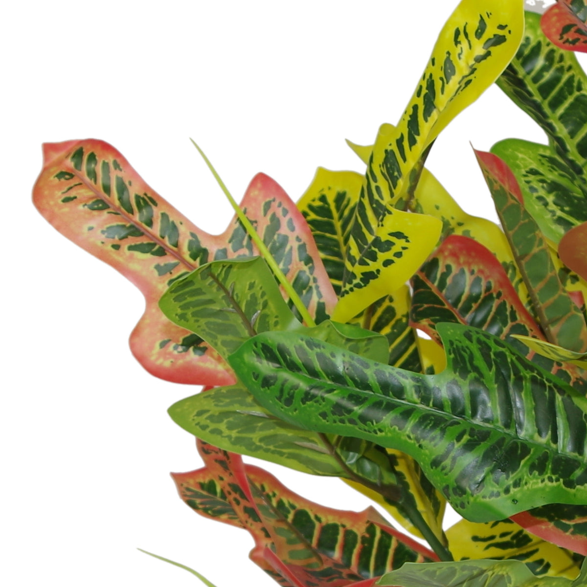 65cm Artificial Codiaeum Multicoloured House Plant – image 3