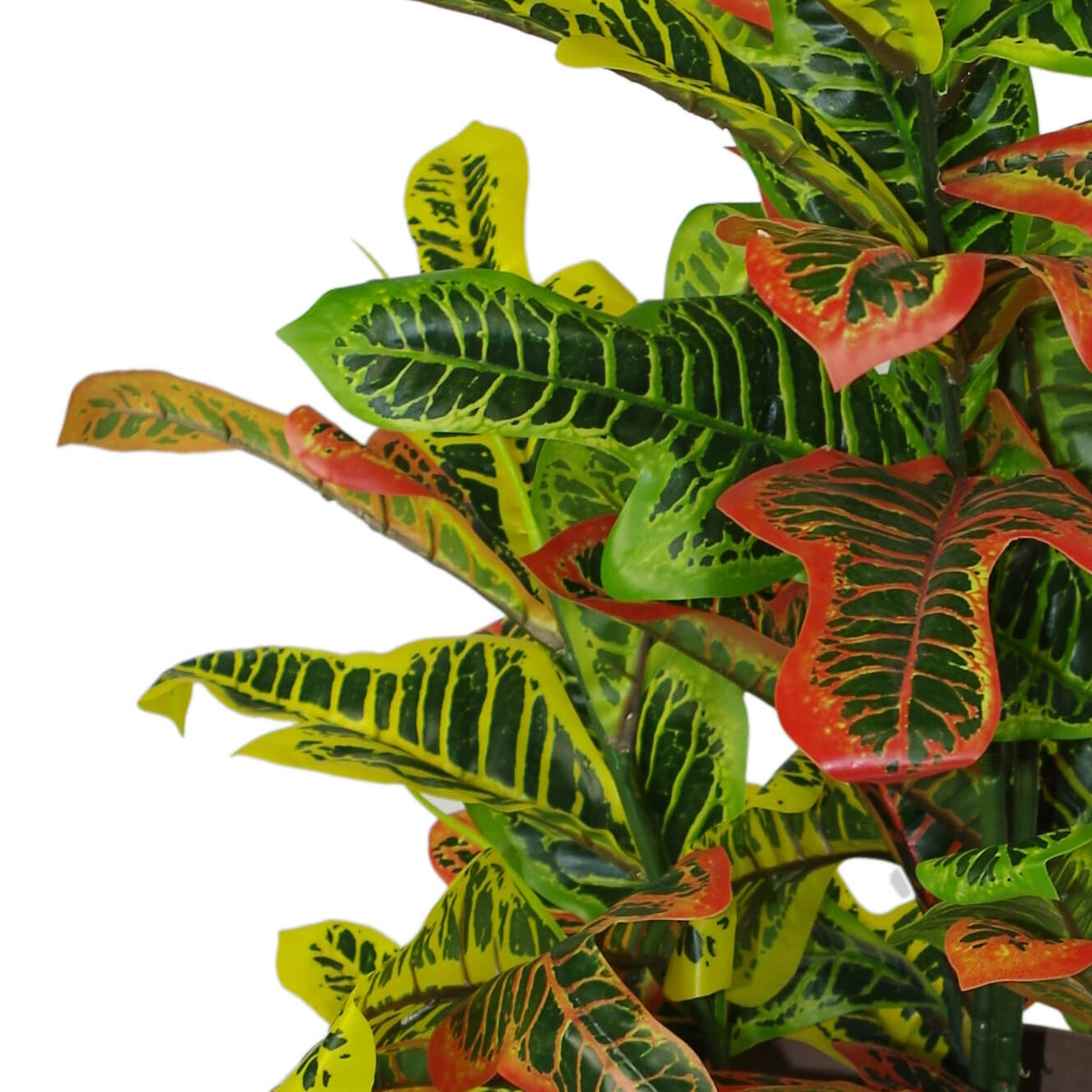 90cm Artificial Codiaeum Multicoloured House Plant - Large – image 4