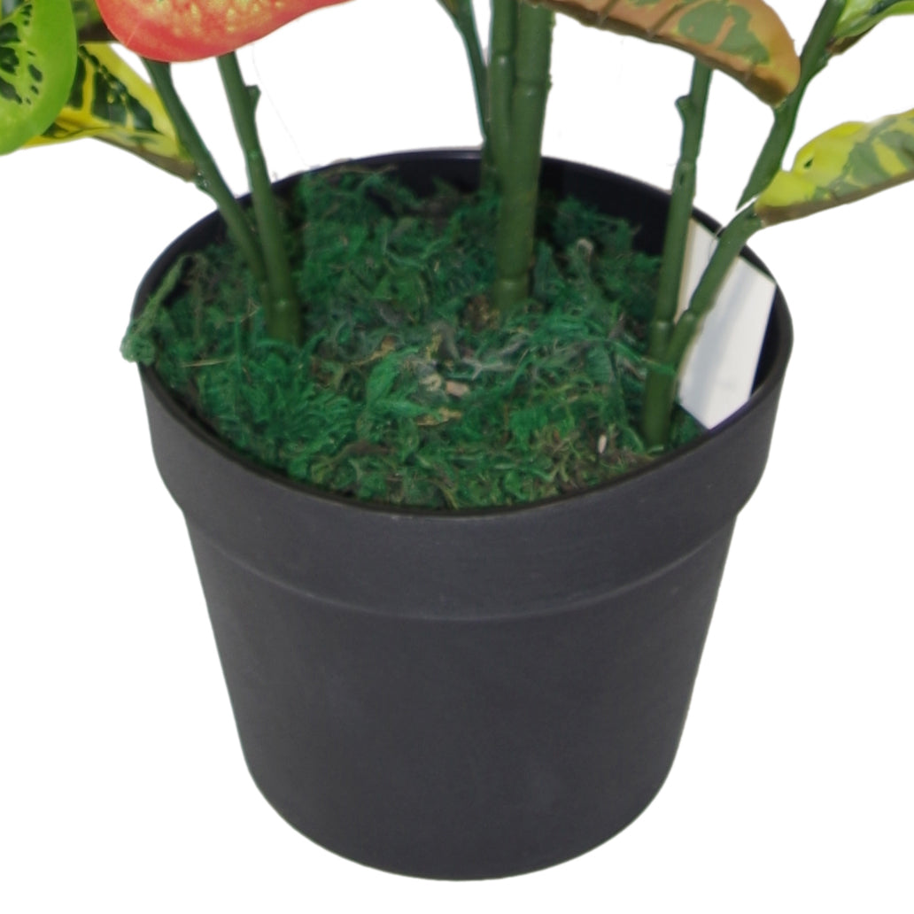 90cm Artificial Codiaeum Multicoloured House Plant - Large – image 3