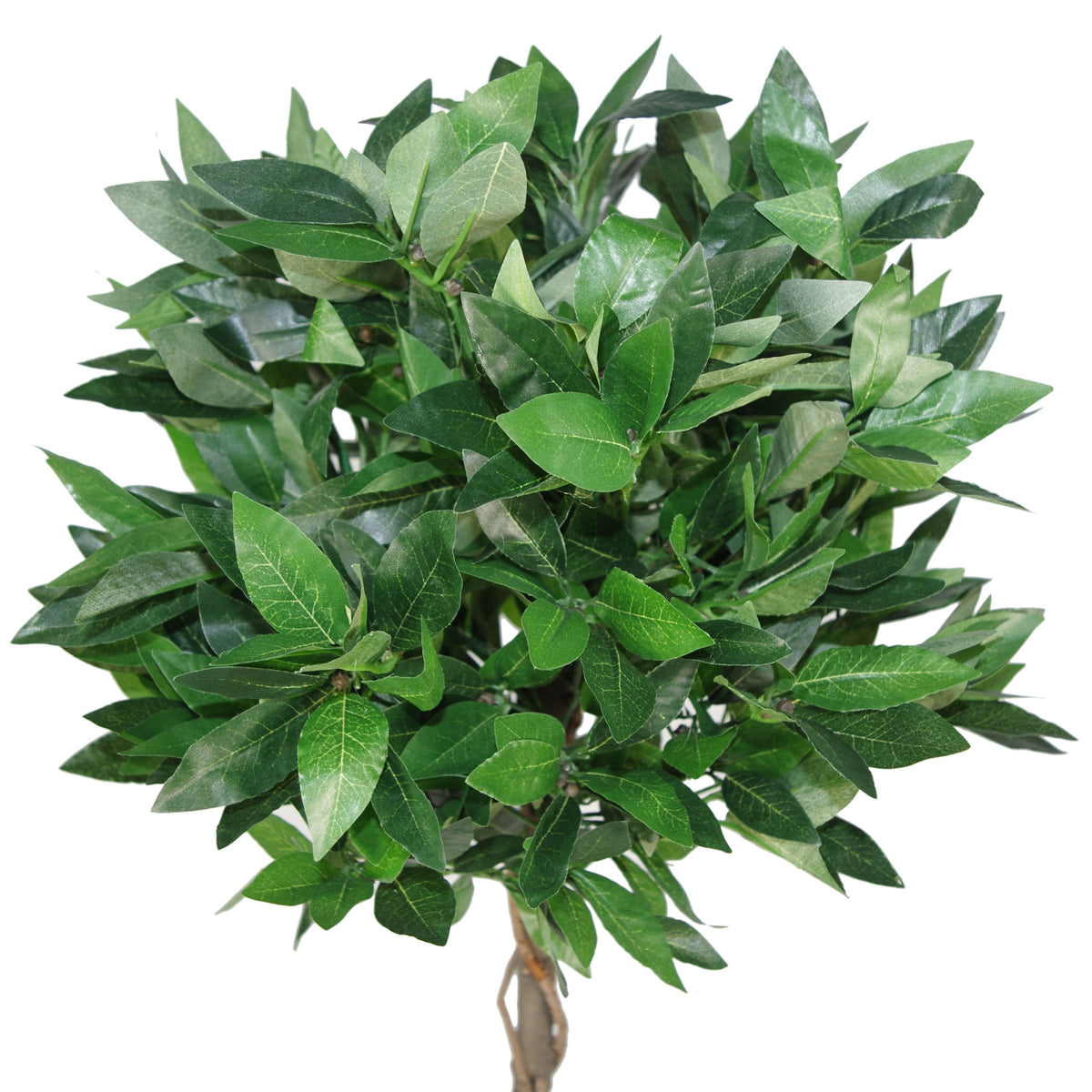 Artificial Bay Trees Natural Twist Trunk Topiary Bay Laurel Ball Tree – image 3