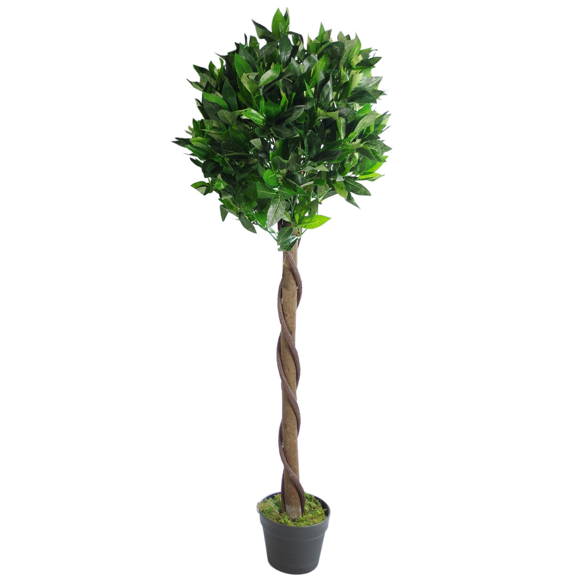 Artificial Bay Trees Natural Twist Trunk Topiary Bay Laurel Ball Tree – image 8