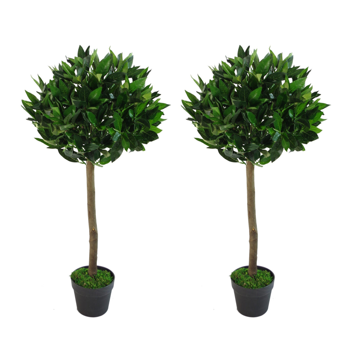 Artificial Bay Trees Natural Straight Trunk Topiary Bay Laurel Ball Tree – image 5