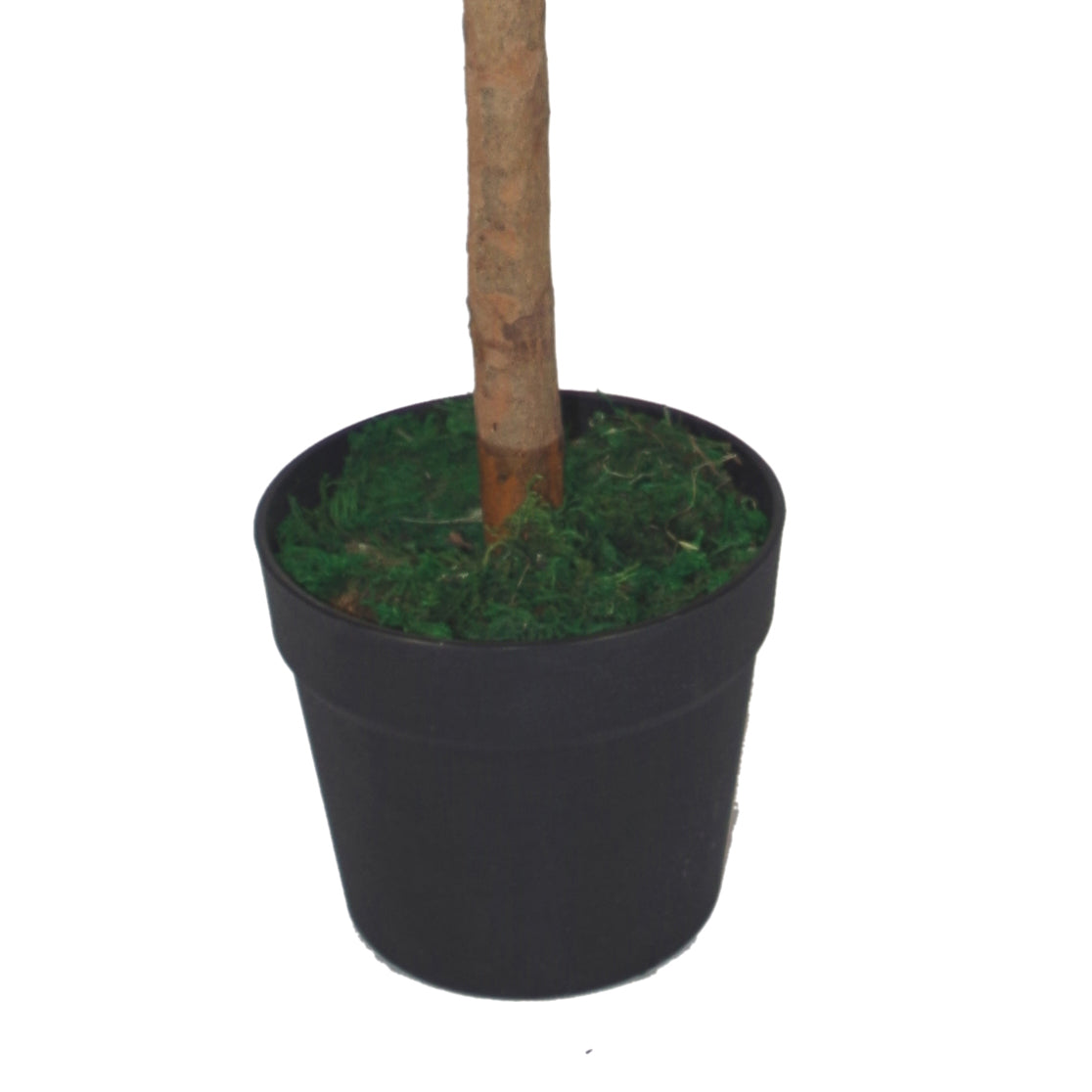 Artificial Bay Trees Natural Straight Trunk Topiary Bay Laurel Ball Tree – image 4